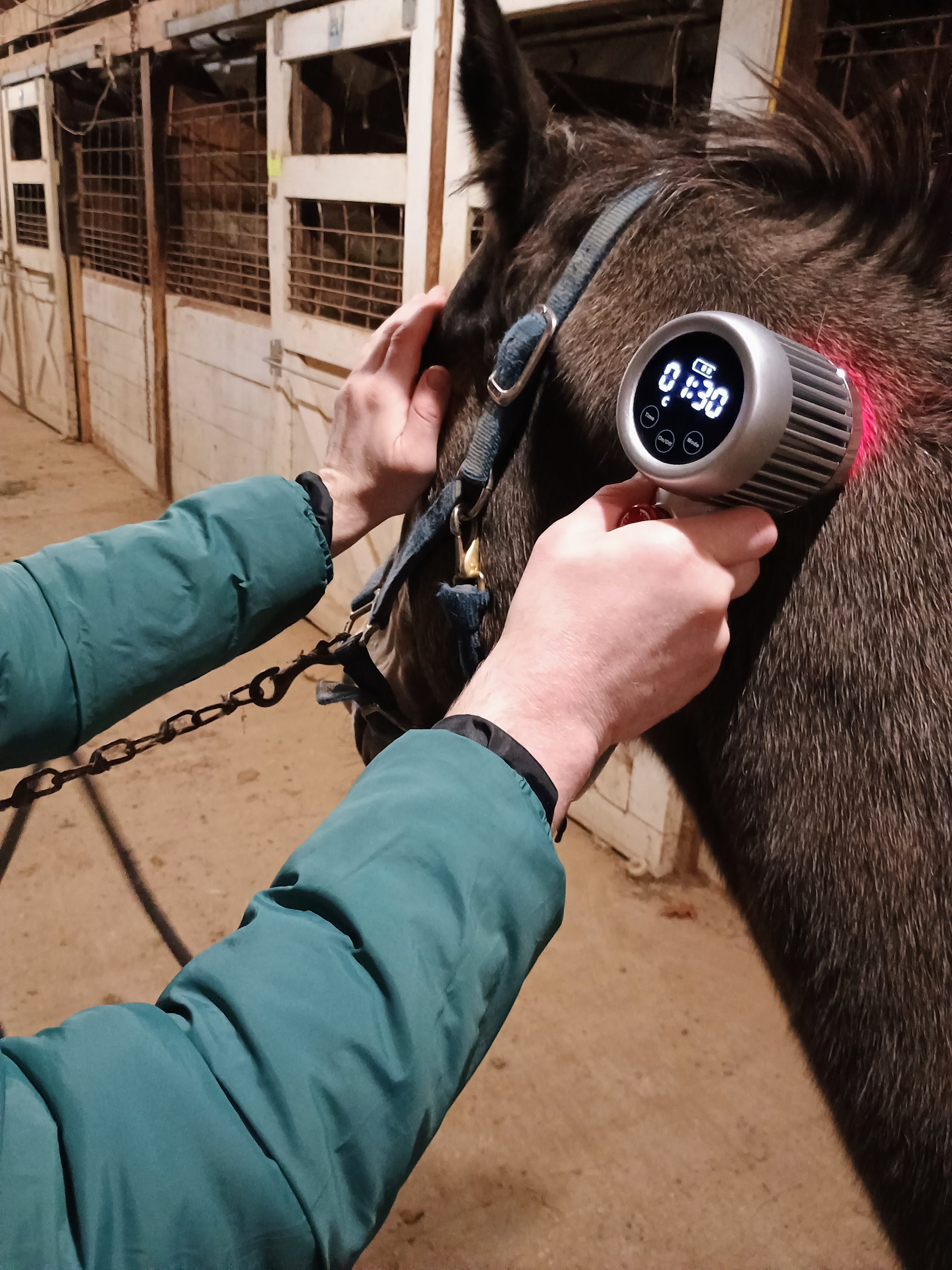 When using near the face of a horse, make sure to cover its eyes!