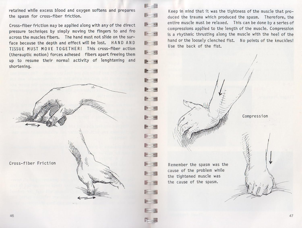 Beating Muscle Injuries for Horses