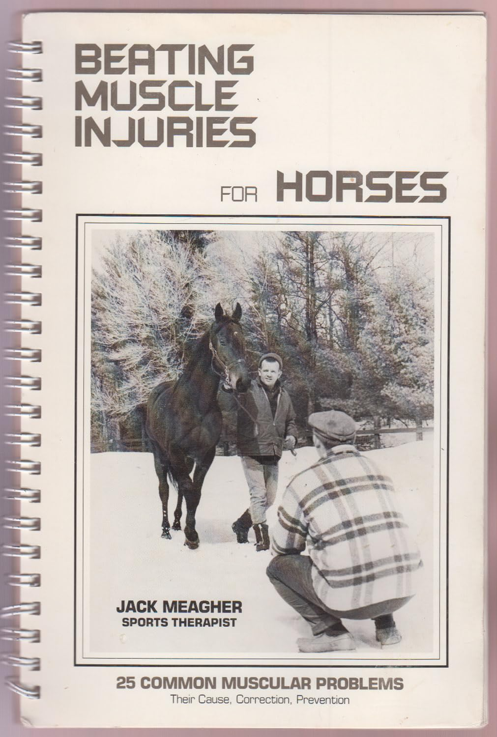 Beating Muscle Injuries for Horses