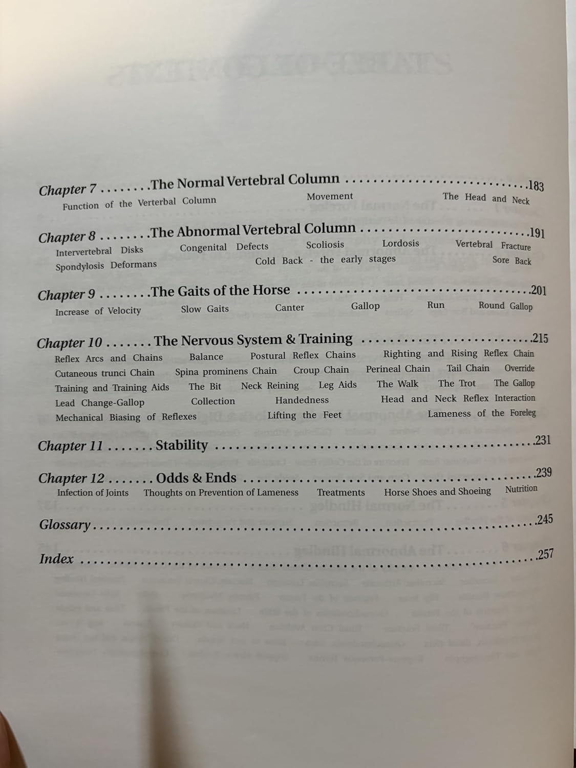 The Lame Horse (Paperback) by James R. Rooney