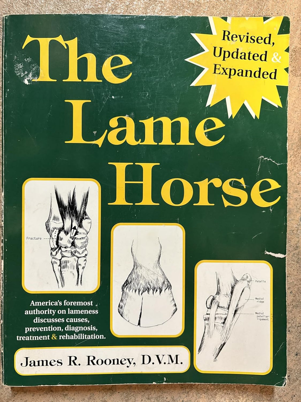 The Lame Horse (Paperback) by James R. Rooney